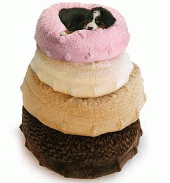 �������� ��� ����� � �����