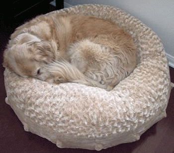 �������� ��� ����� � �����