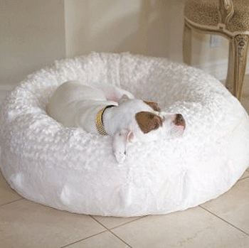 �������� ��� ����� � �����