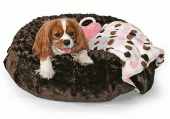 �������� ��� ����� � �����