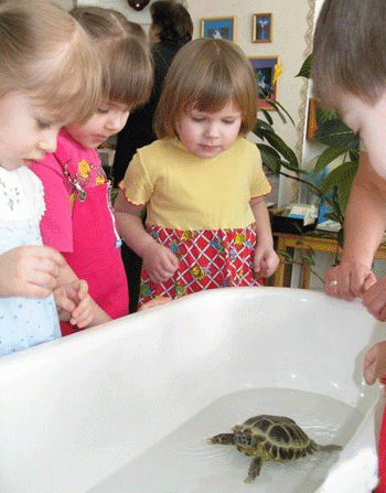 ������� ���� ����� ������ ������ �������