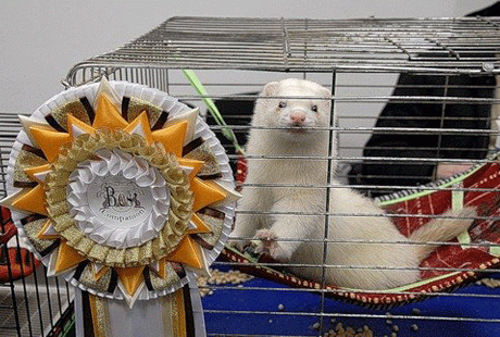 �� ��������� - �������� �������