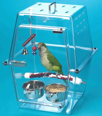 �������� ��������� ��� ����