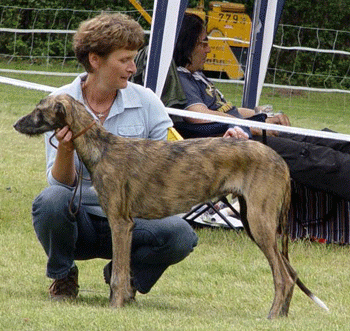 � �������� ���������� ������ ����� ��� � ���