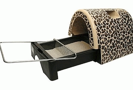 �����-�����