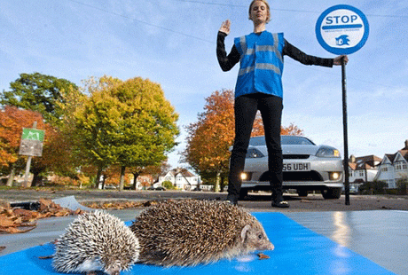 ������ �������� ���������� ������� ��� ����