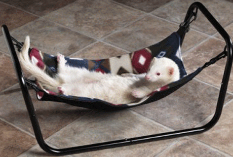 ����� � �������� ����� ��� ������