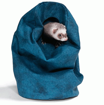 ����� � �������� ����� ��� ������