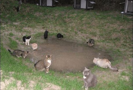 ����� ��� ����� �� �������