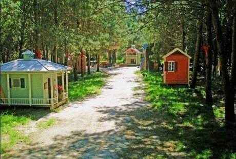 ����� ��� ����� �� �������