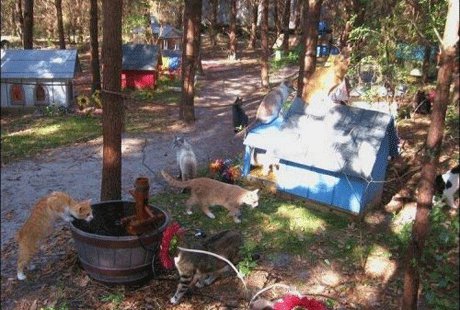 ����� ��� ����� �� �������