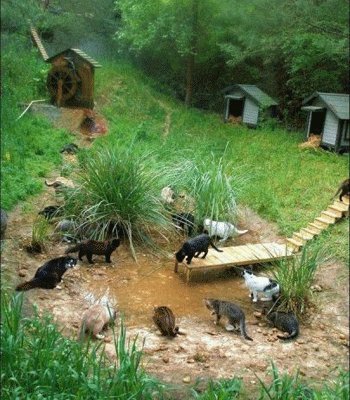 ����� ��� ����� �� �������