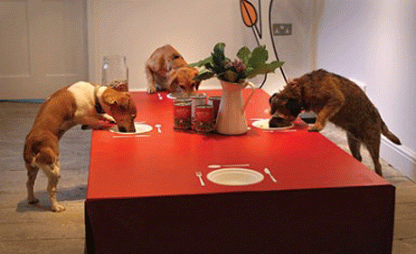 � ���������� ����� �������� ���� ��������