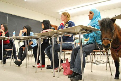 ������-�������� ������� ������ ���������