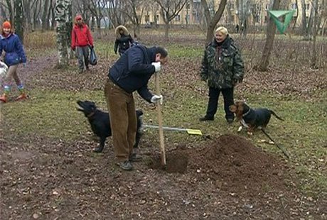 �������� ������� ���� ����� ��� ��������