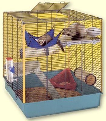 ����������� ������ ��� �������