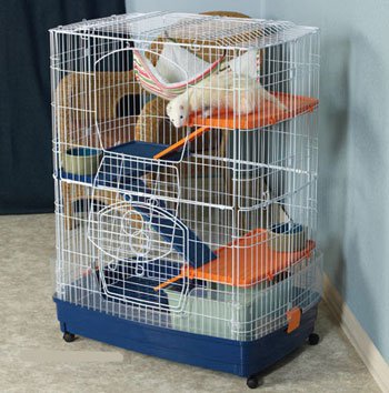 ����������� ������ ��� �������