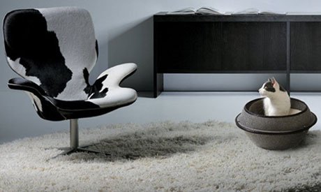 ����������� ������ ��� ����� � �����