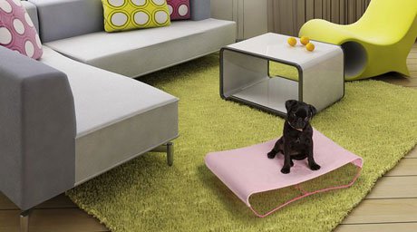 ����������� ������ ��� ����� � �����