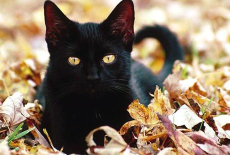 ������� � ������ ������ ��������� ��������