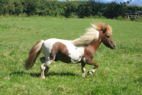 �������� ��������: 10 ���������� ������ � ��������