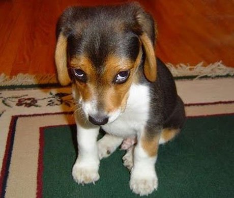 �������� ��������: 10 ���������� ������ � ��������