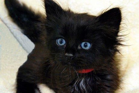 �������� ��������: 10 ���������� ������ � ��������