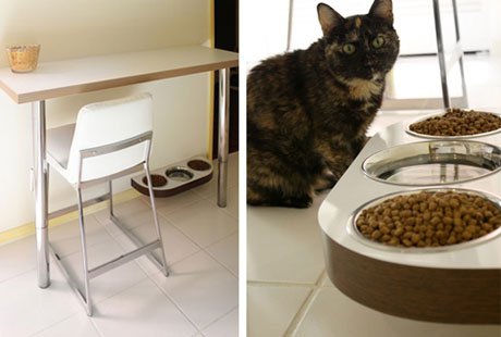 ��Maow��������� �������� ��� �����