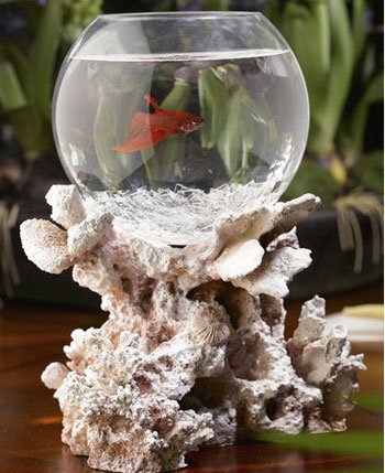 ����������� ����������